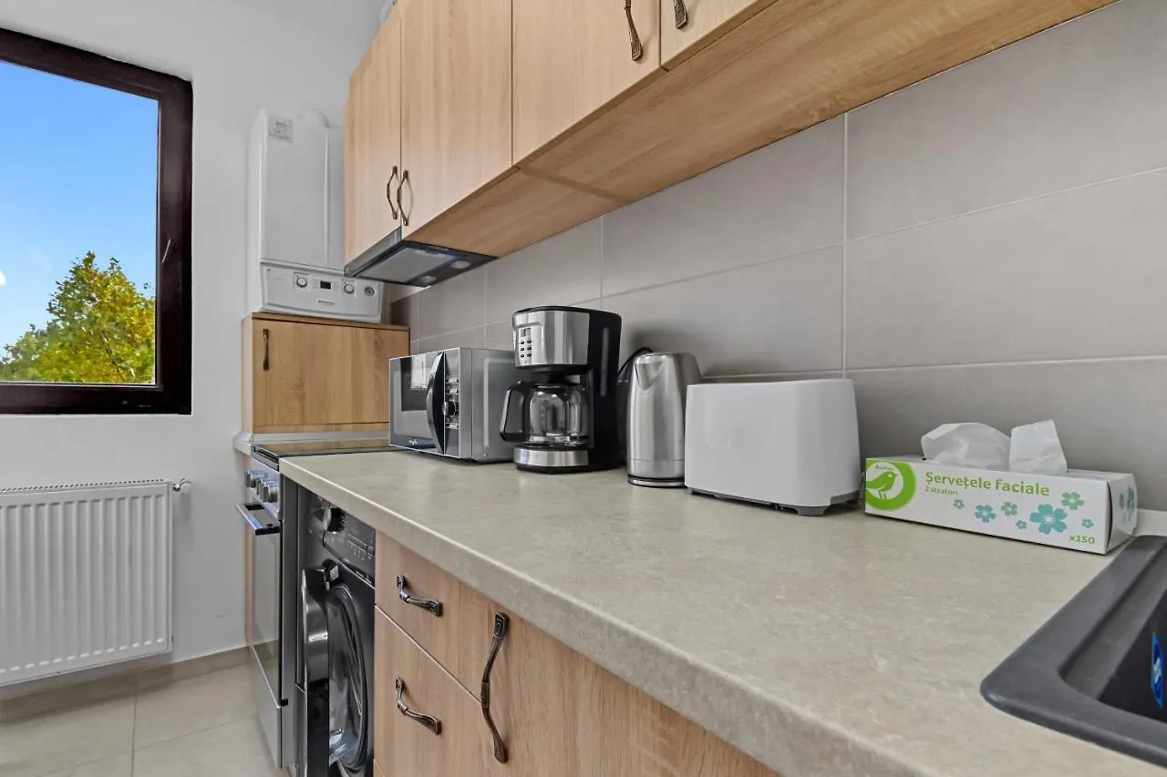 Basarab Chic Studio Apartment Bucureşti